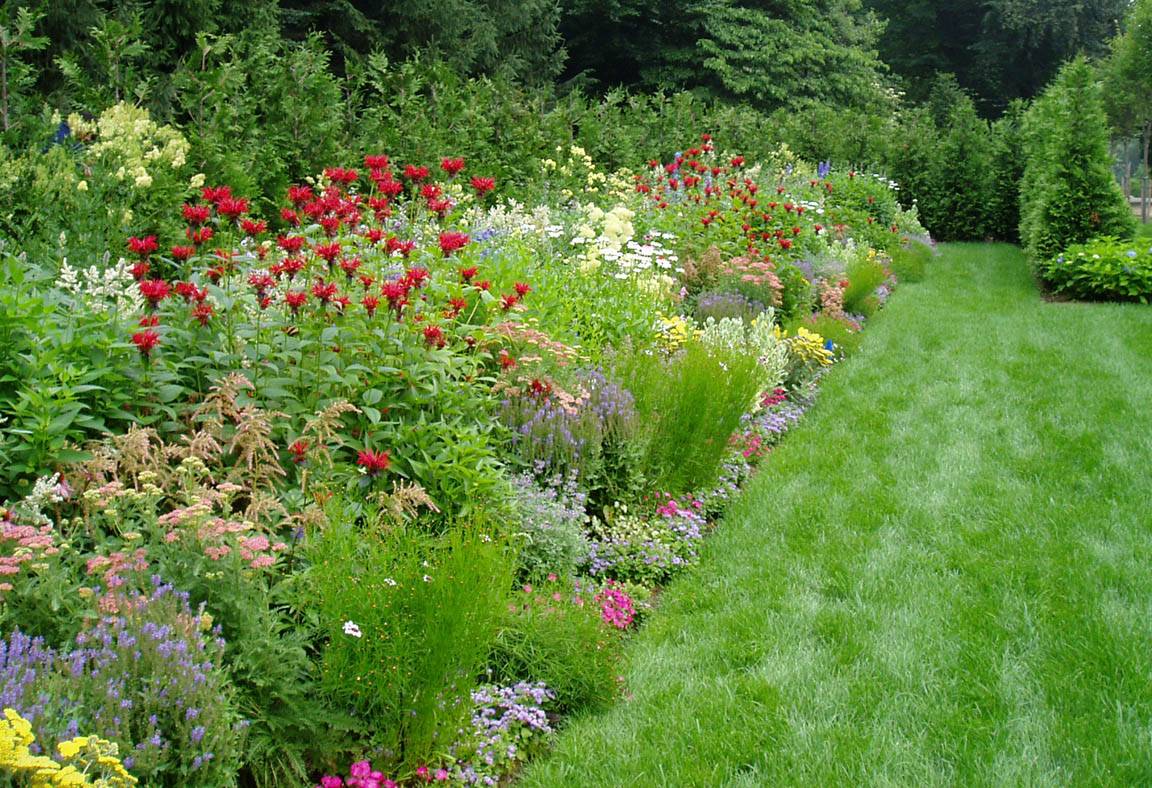 perennial garden design ideas