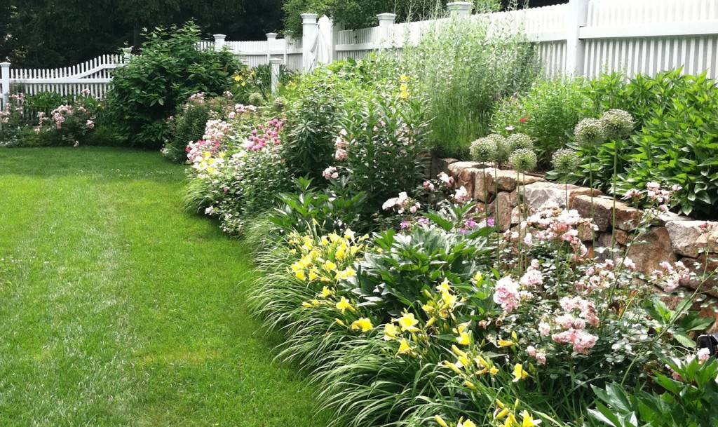 perennial garden landscape and fence