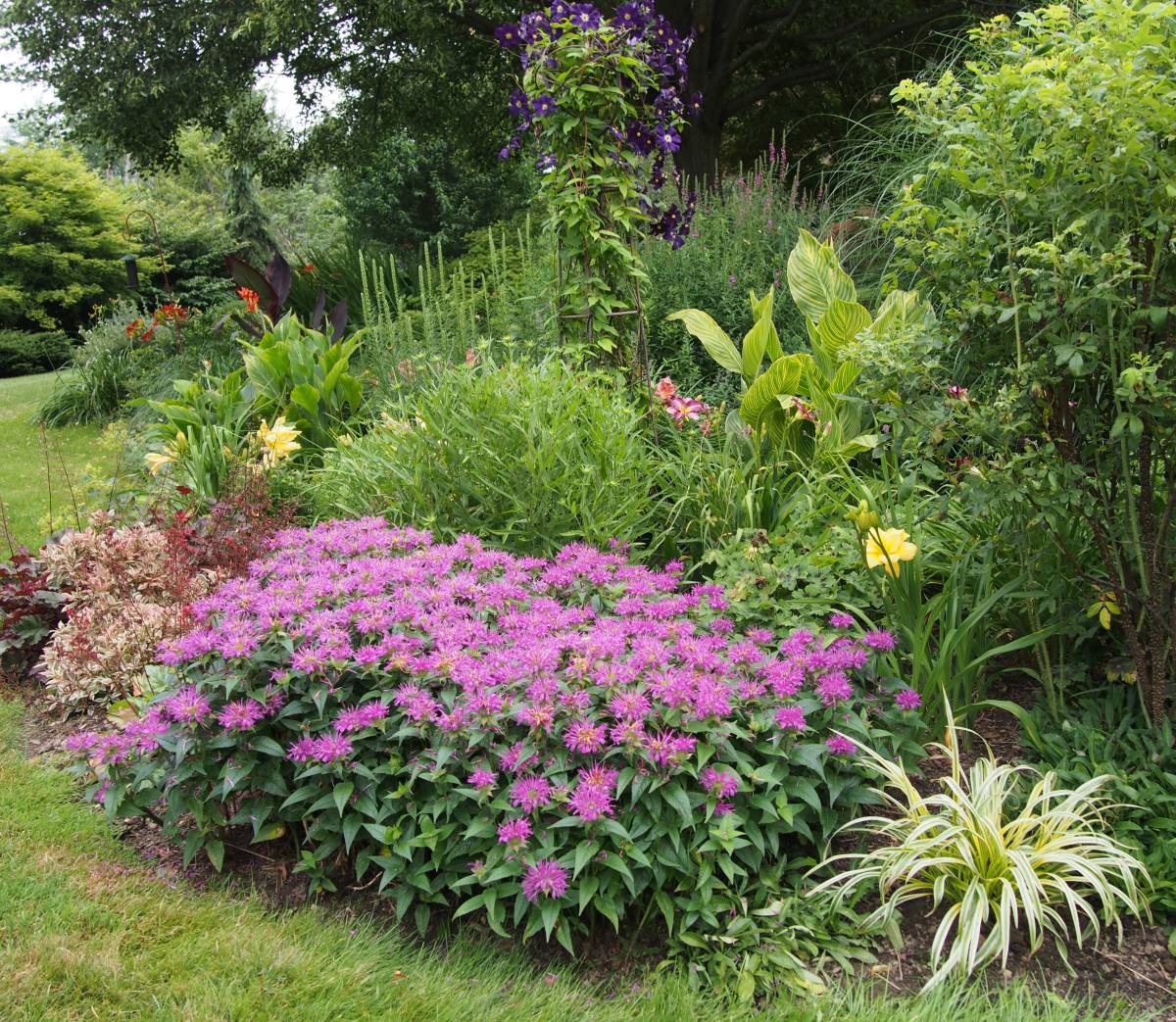 perennial gardening