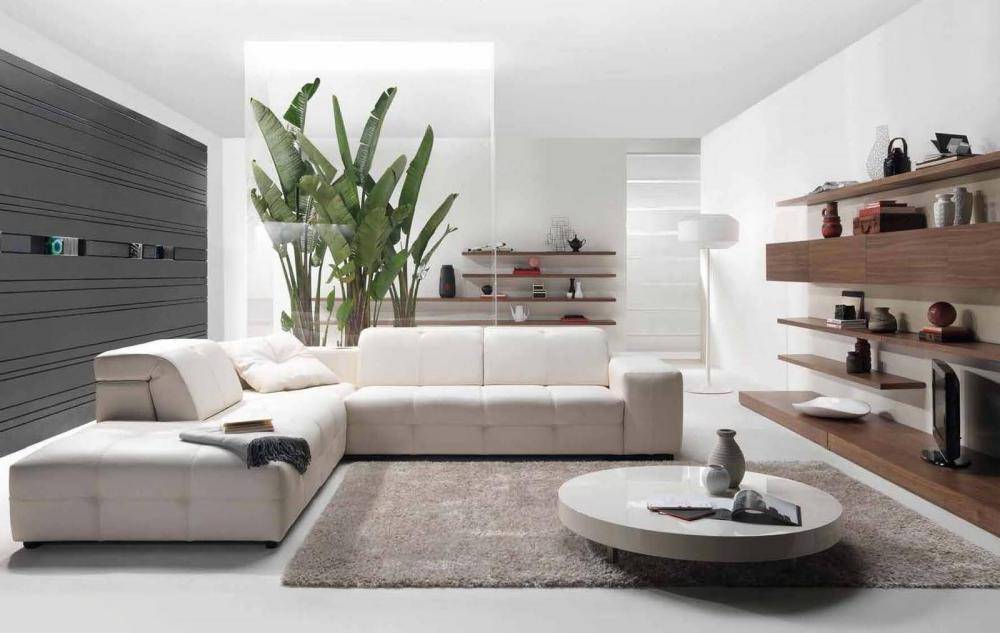 Modern living room accessories