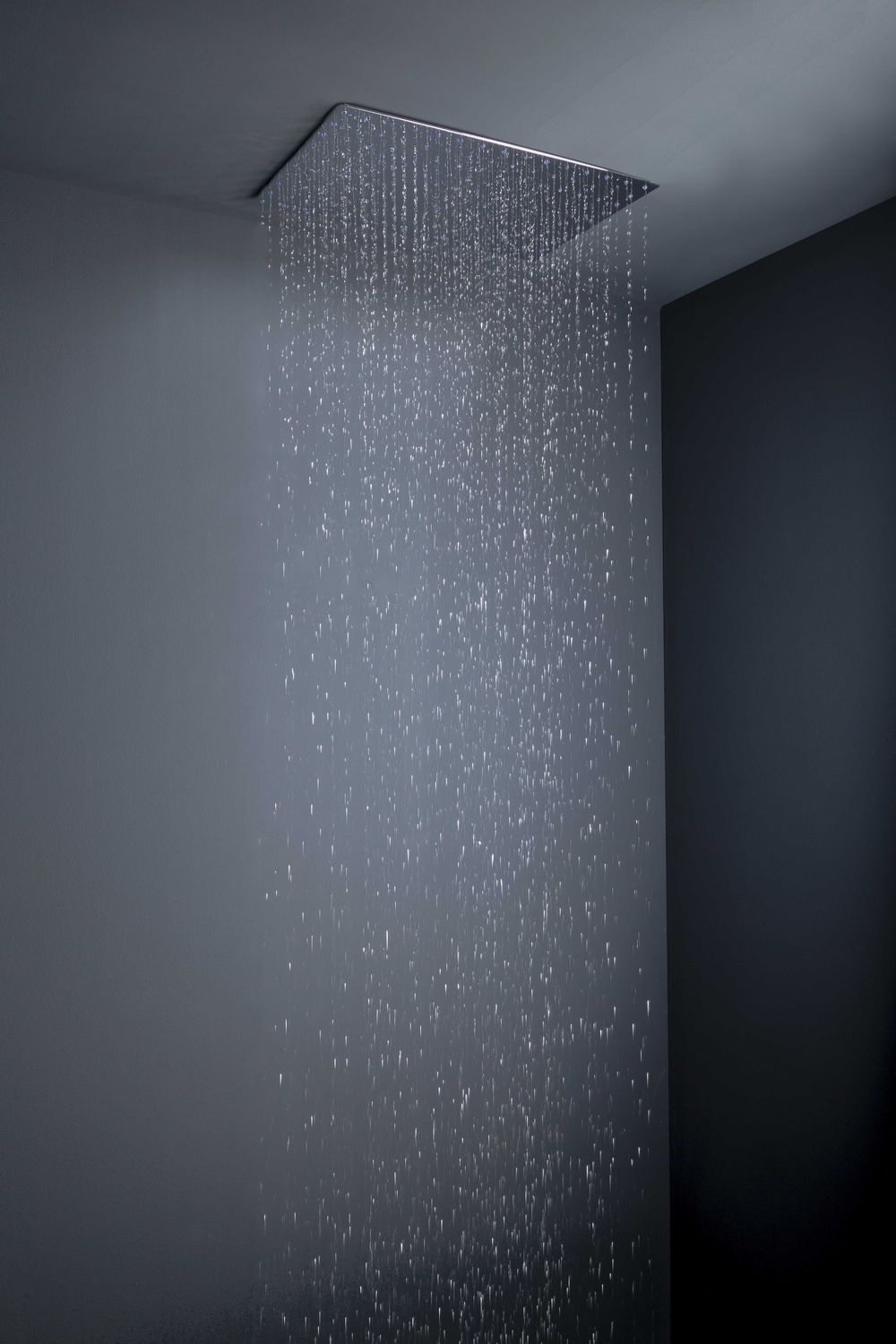 flush-mount-rain-shower-heads-tender.jpg