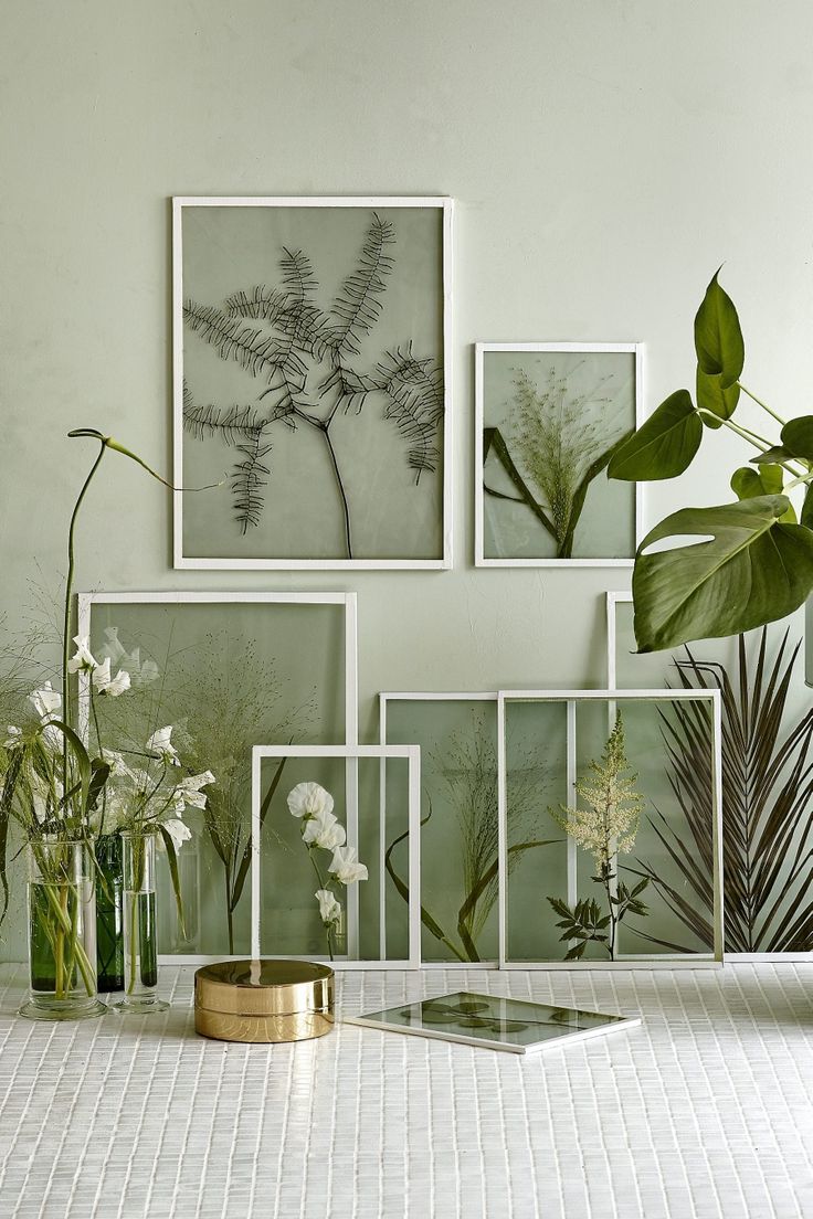 presses leaves wall decoration