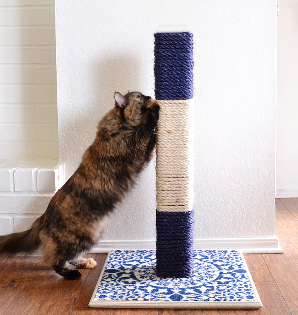 Keep Your Cat from Scratching Your Furniture with this DIY Rope Scratching Post. 