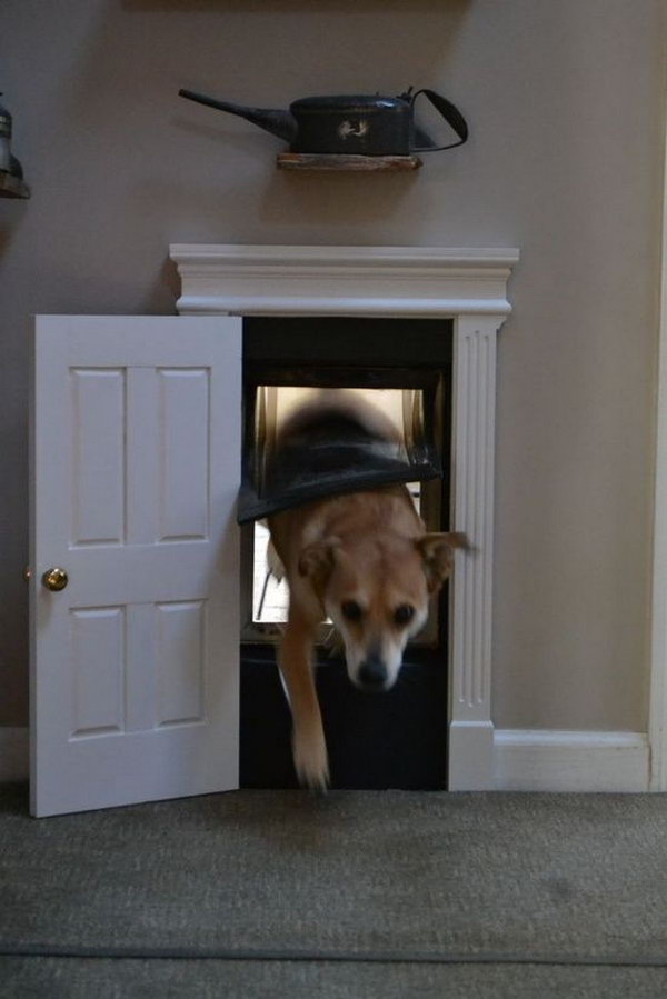 DIY Dog Door. 