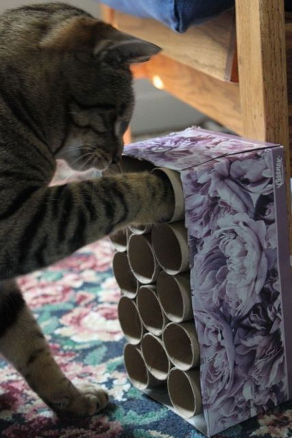 DIY Cat Toy Made out of Toilet Paper Rolls and a Tissue Paper. 