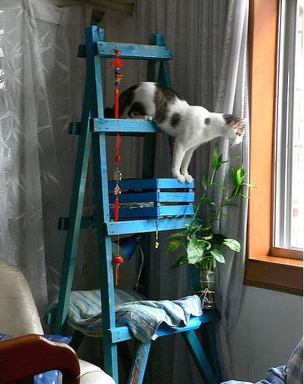 DIY Cat Tree Made out of a Ladder, a Crate and a Piece of Wood . 