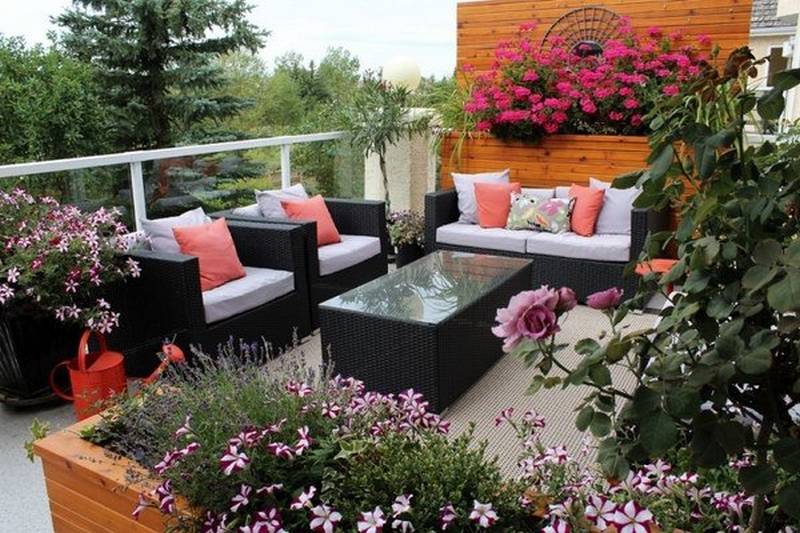 balcony-garden-ideas-petunias-pink-climbing-rose-geranium-modern-outdoor-furniture