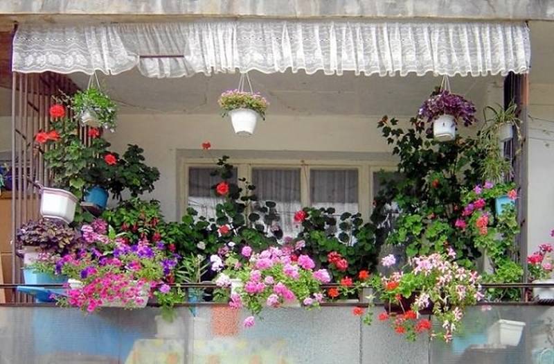 balcony-garden-small-ideas-2