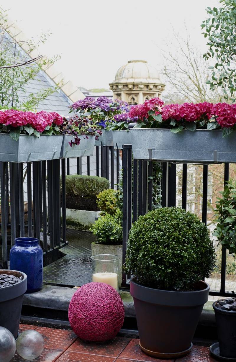 isabelle-palmer-balcony-gardener-jonathan-gooch-6-gardenista