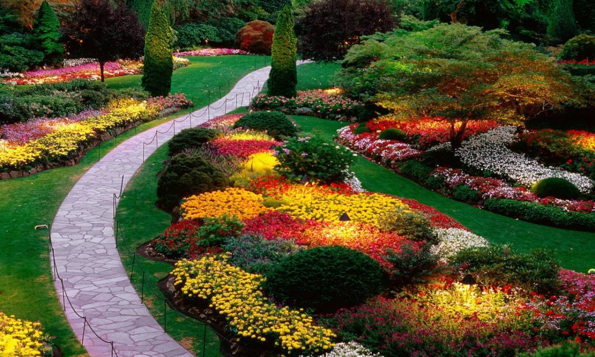 landscaping designs