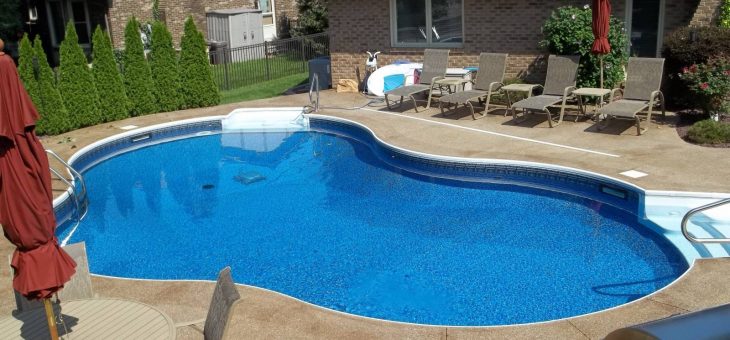 17 Perfect Shaped Swimming Pool For Your Home