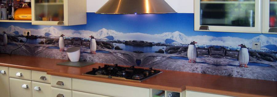 splashbacks with images