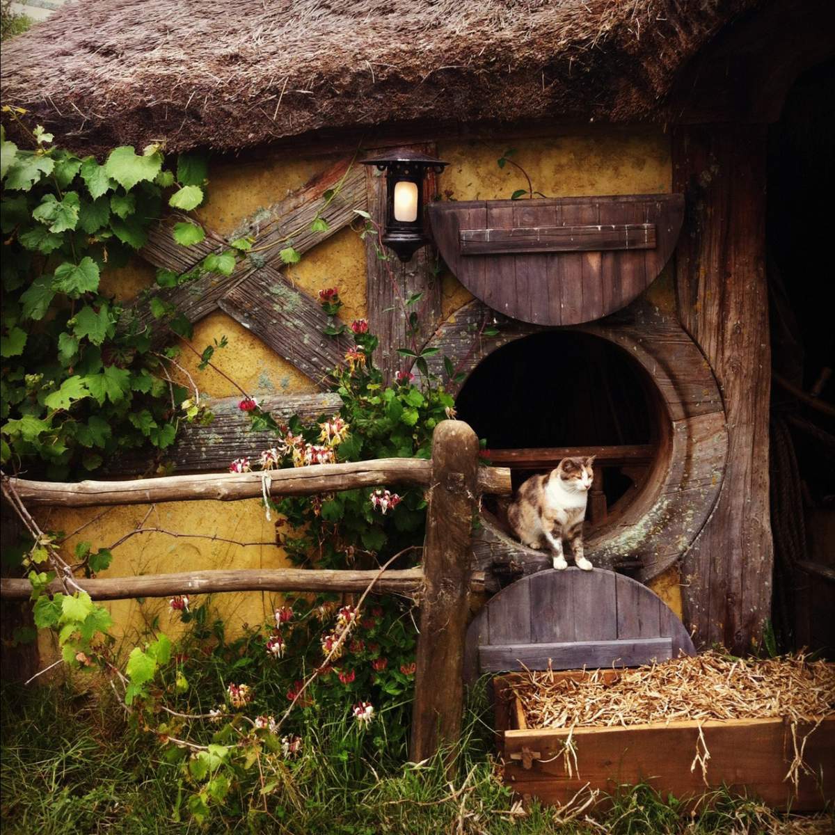 Hobbit-house-accommodation-nz