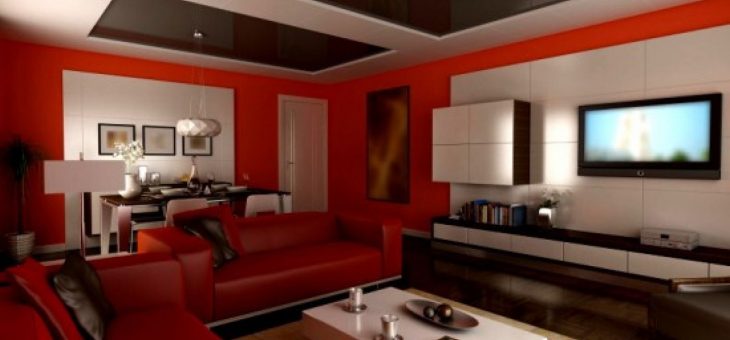 Apartment Decorating Ideas And Advice Recommended For Realistic Minimalism Design