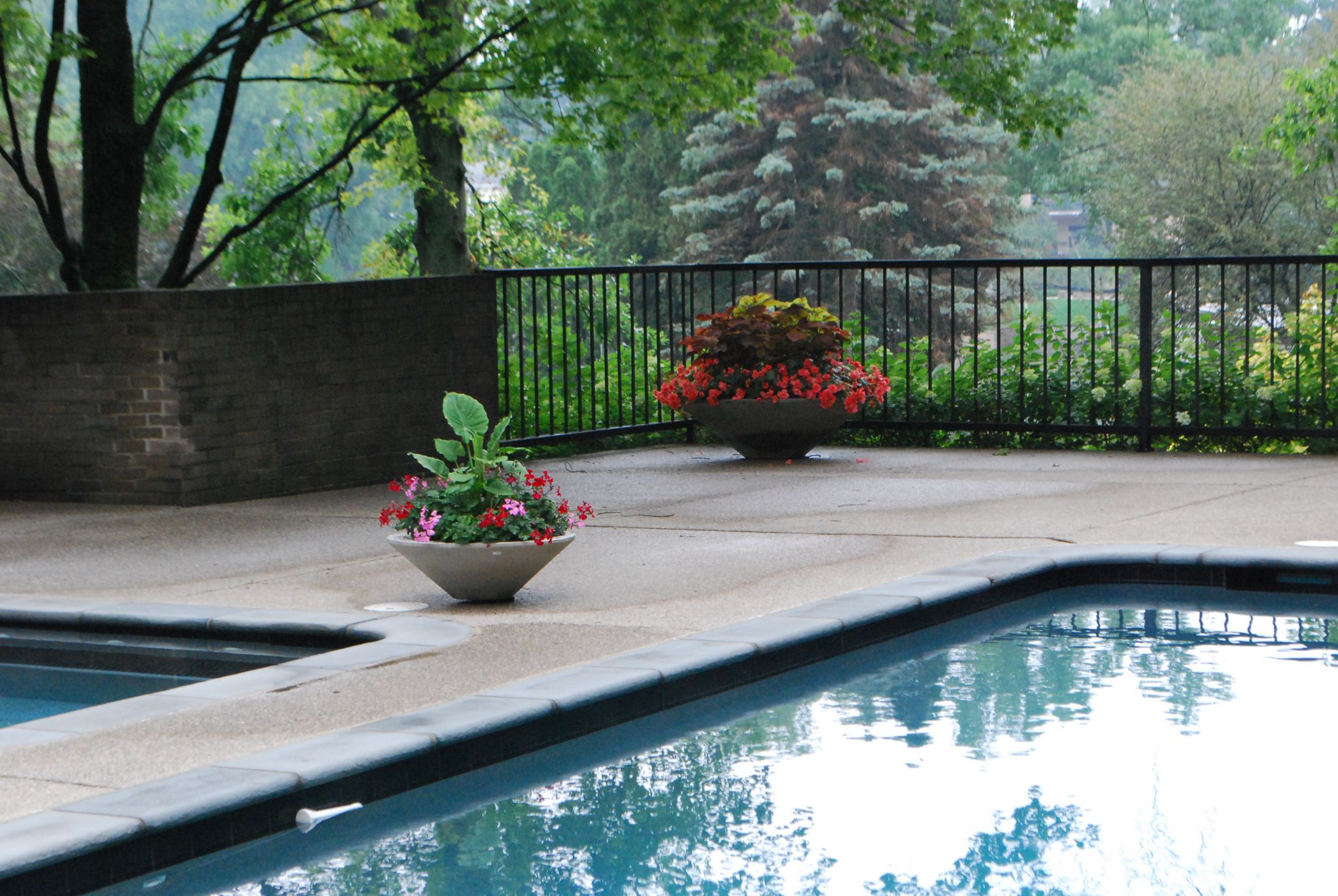 9 Amazing Pool Fence Ideas Providing Safety And Protection For Your Property