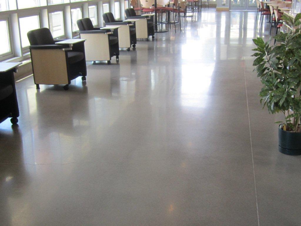 salt & pepper polished concrete